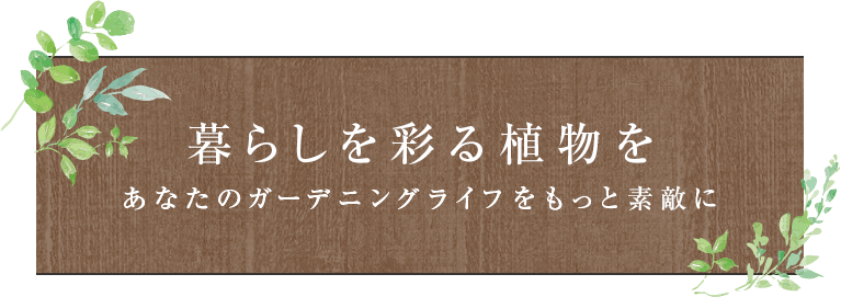 暮らしを彩る植物をあなたのガーデニングライフをもっと素敵に